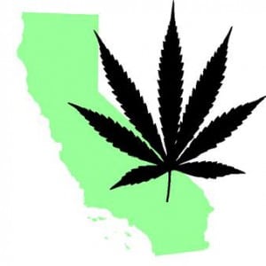 California marijuana