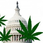 DC cannabis