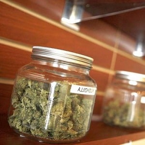 Marijuana Dispensary jar