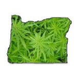 Oregon marijuana