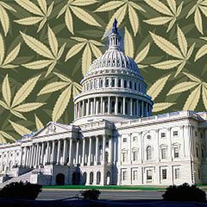 Federal medical marijuana