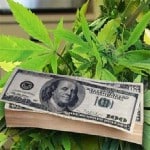 marijuana and Cash