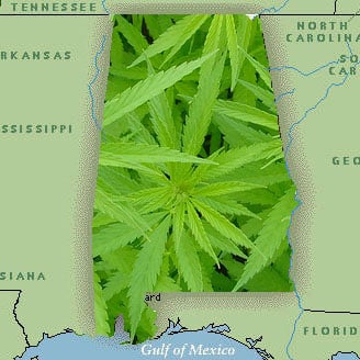 Alabama marijuana