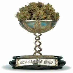 high times cannabis cup amsterdam results