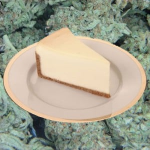 cannabis cheesecake