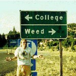 college marijuana