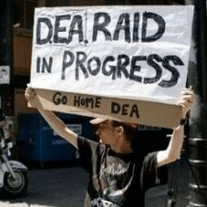 DEA raid