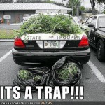 Its a trap!