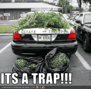 Its a trap!