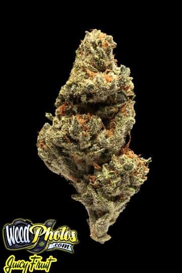 juicy fruit marijuana strain