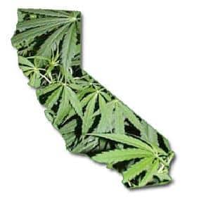 marijuana California