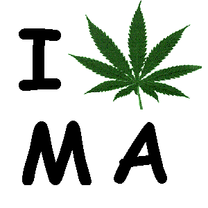 massachusetts cannabis