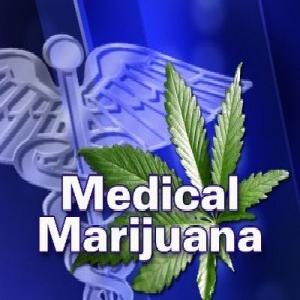 medical marijuana blog