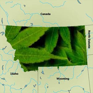Montana medical marijuana