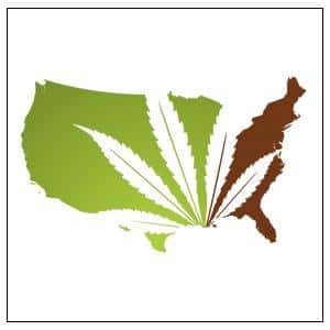 national cannabis coalition