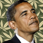 obama marijuana