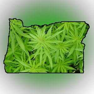 oregon state marijuana