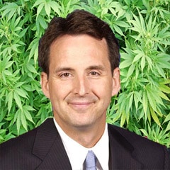 Tim Pawlenty marijuana