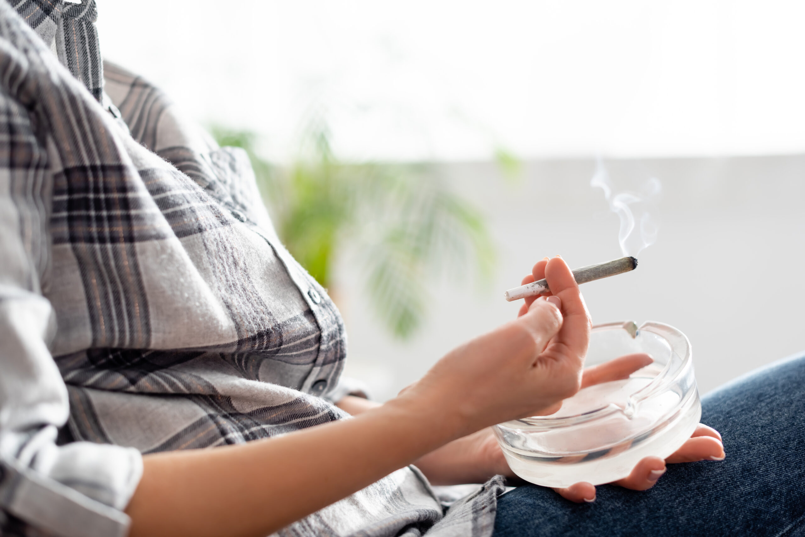 How to Roll a Joint: The Ultimate Guide - Vimarsana News