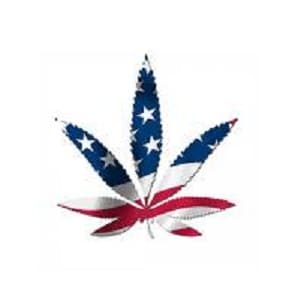 america marijuana reform new york