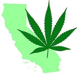 California medical marijuana dispensaries war