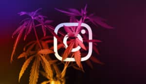 Cannabis and Instagram