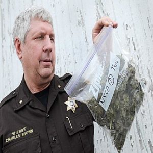 lansing michigan police marijuana
