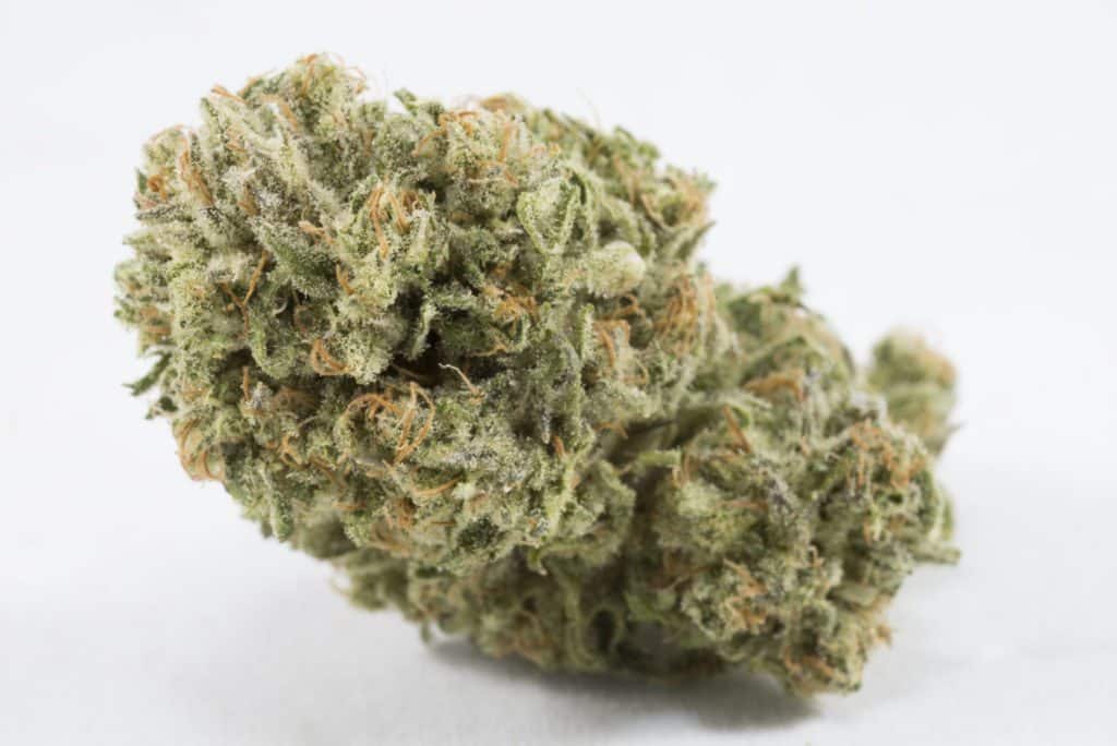 Highest Testing CBD Strain