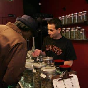 marijuana industry job employment career