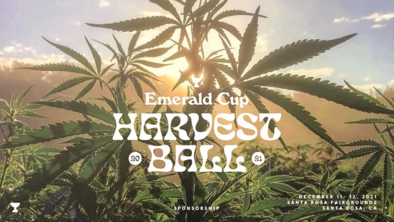 Emerald Cup Harvest Ball 2021 Musical Acts Lineup Announced With Headliner Big Wild