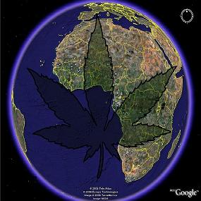 earth marijuana