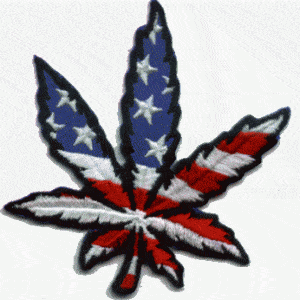 washington dc decriminalization marijuana possession