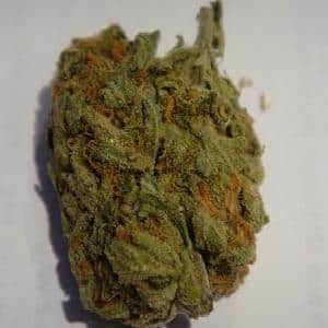 This is the G13 Haze marijuana strain.