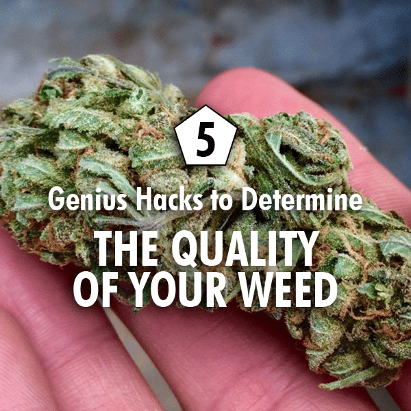 quality of your weed