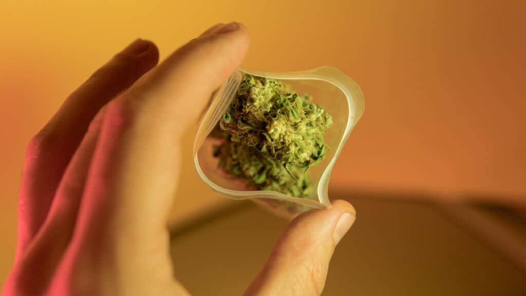 the ultimate guide to THCa