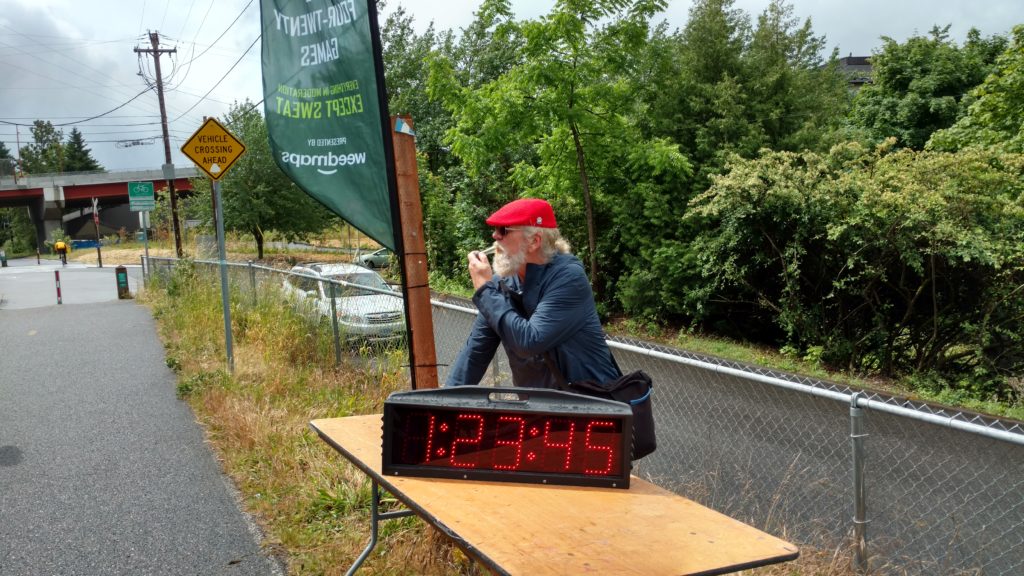 yerba buena silver hawk flower