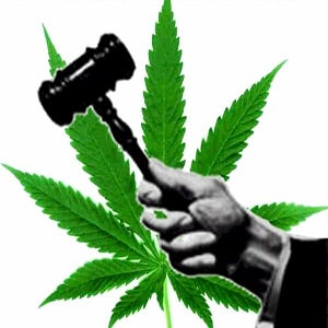 Law marijuana