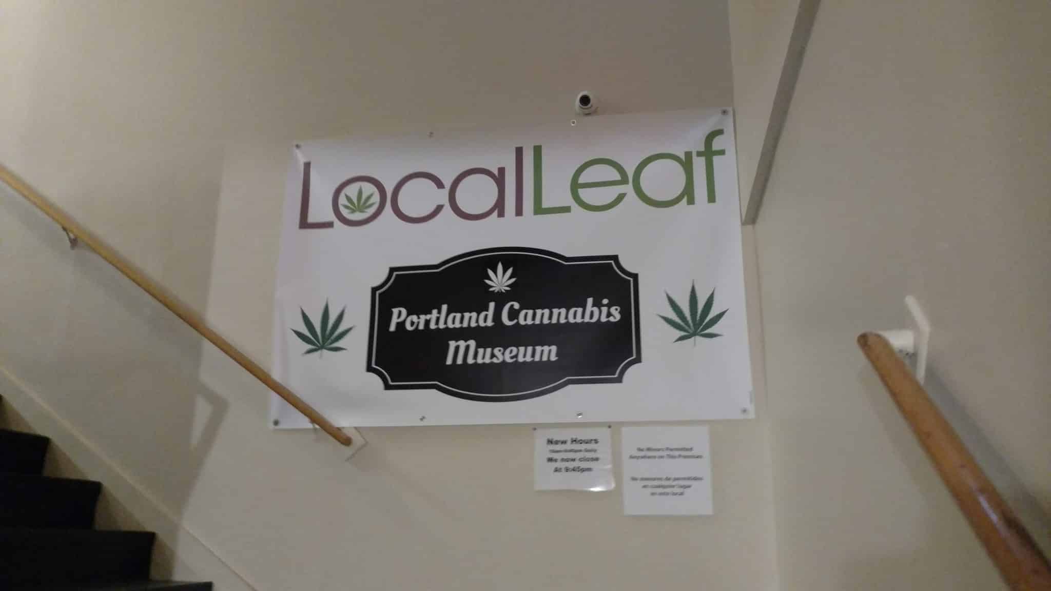 local leaf and my dispensary tour