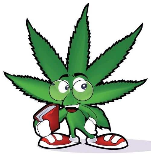 Marijuana Scholar