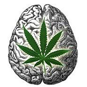 Marijuana brain stress depression