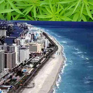 Miami Beach Marijuana