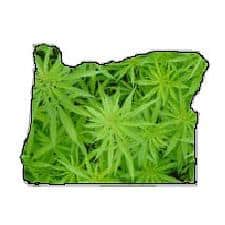 Oregon medical marijuana
