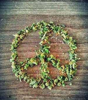 marijuana peace