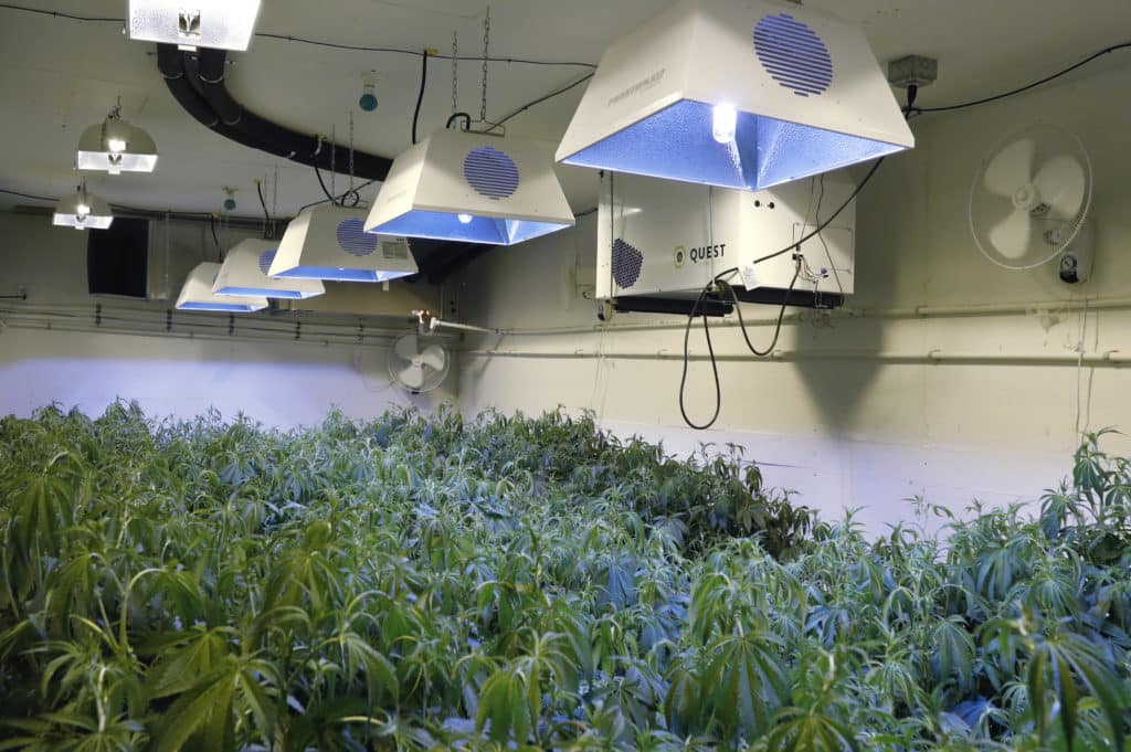 Grow Room Climate Control