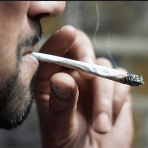 social cannabis consumption, smoking weed,