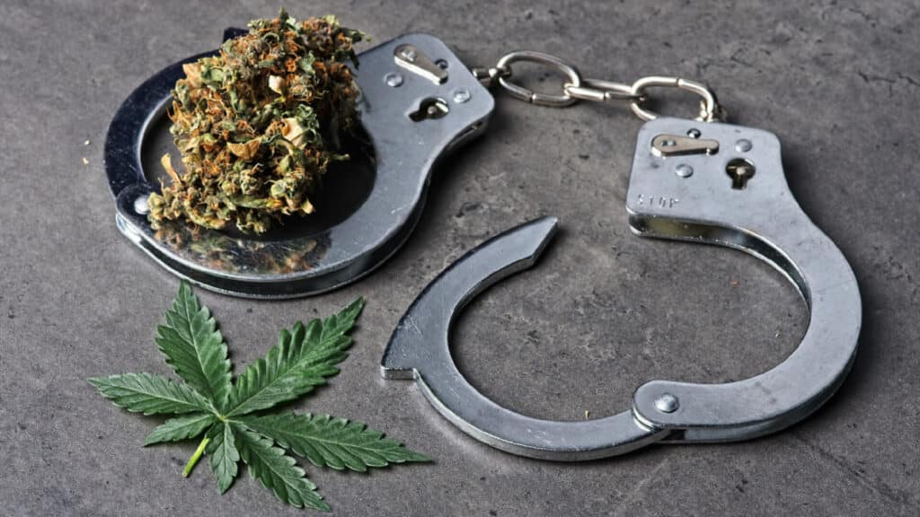 Cannabis Pardons 2021 Status Update