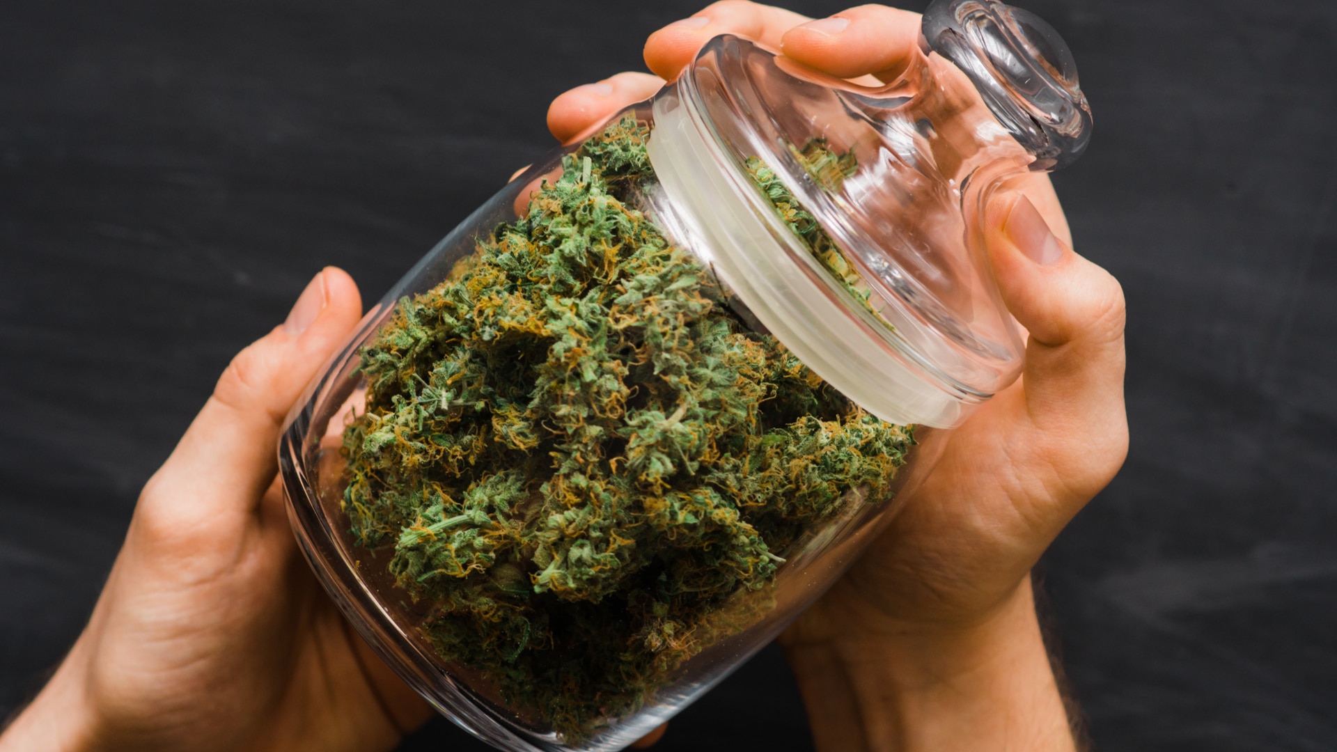 Prices Explained: How Much is an Ounce of Weed