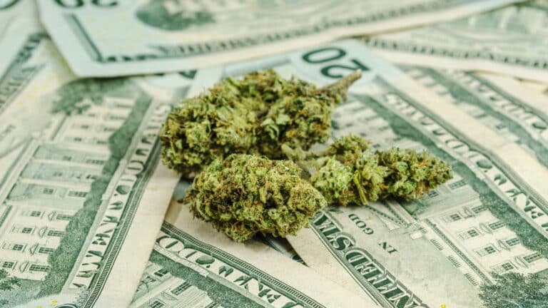 How to Sell Weed in 2022: Industry Explained