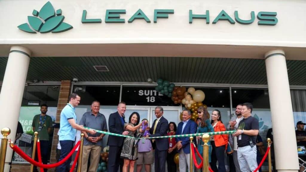 Leaf Haus New Jersey