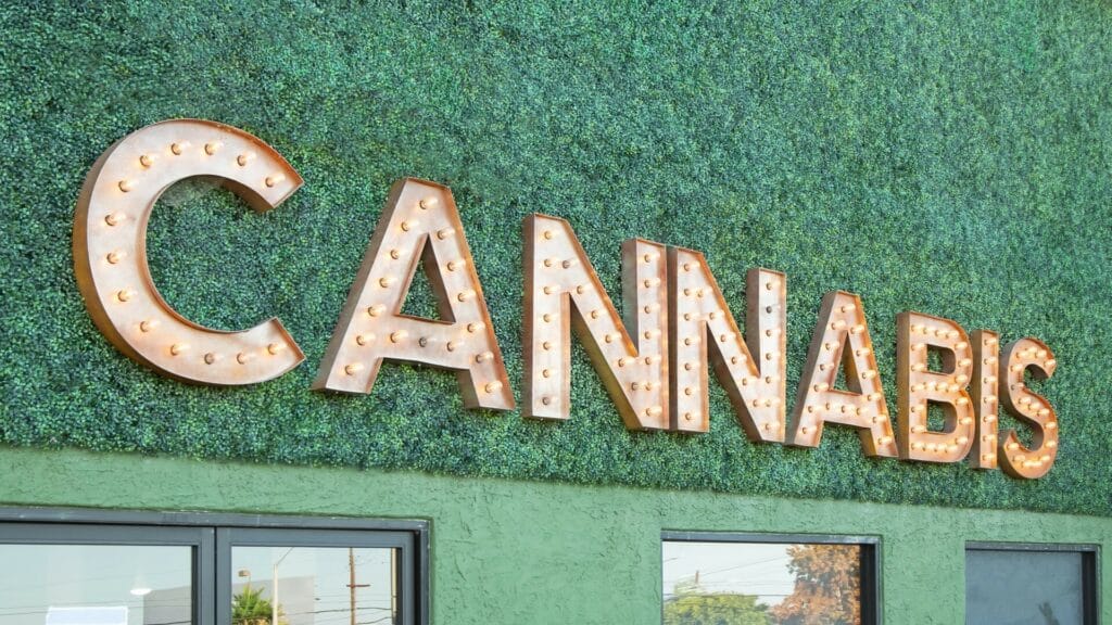 Medical vs Recreational Cannabis in California: Differences Explained